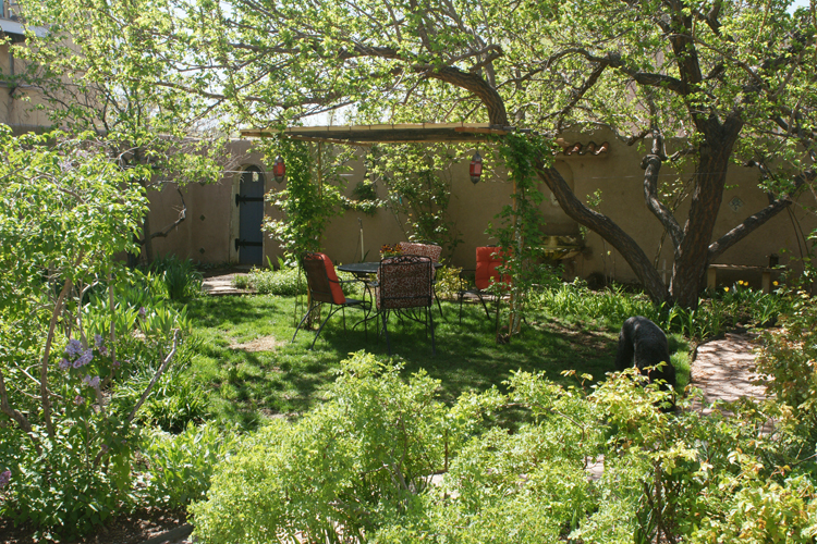 Back garden, April